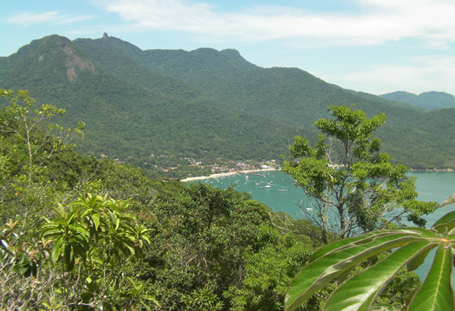 Take a break from exploring the city and head to the tropical delights of Angra dos Reis and Ilha Grande day