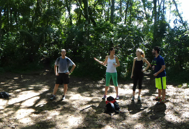 Pedra da Gávea - Hiking Trail - Trekking Tour - Trilha e Senderismo.