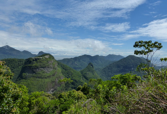 Pedra da Gávea - Hiking Trail - Trekking Tour - Trilha e Senderismo.