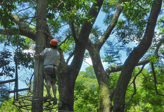 Zip Line and Canopy Tree - Tirolesa e Arvorismo | Rio de Janeiro